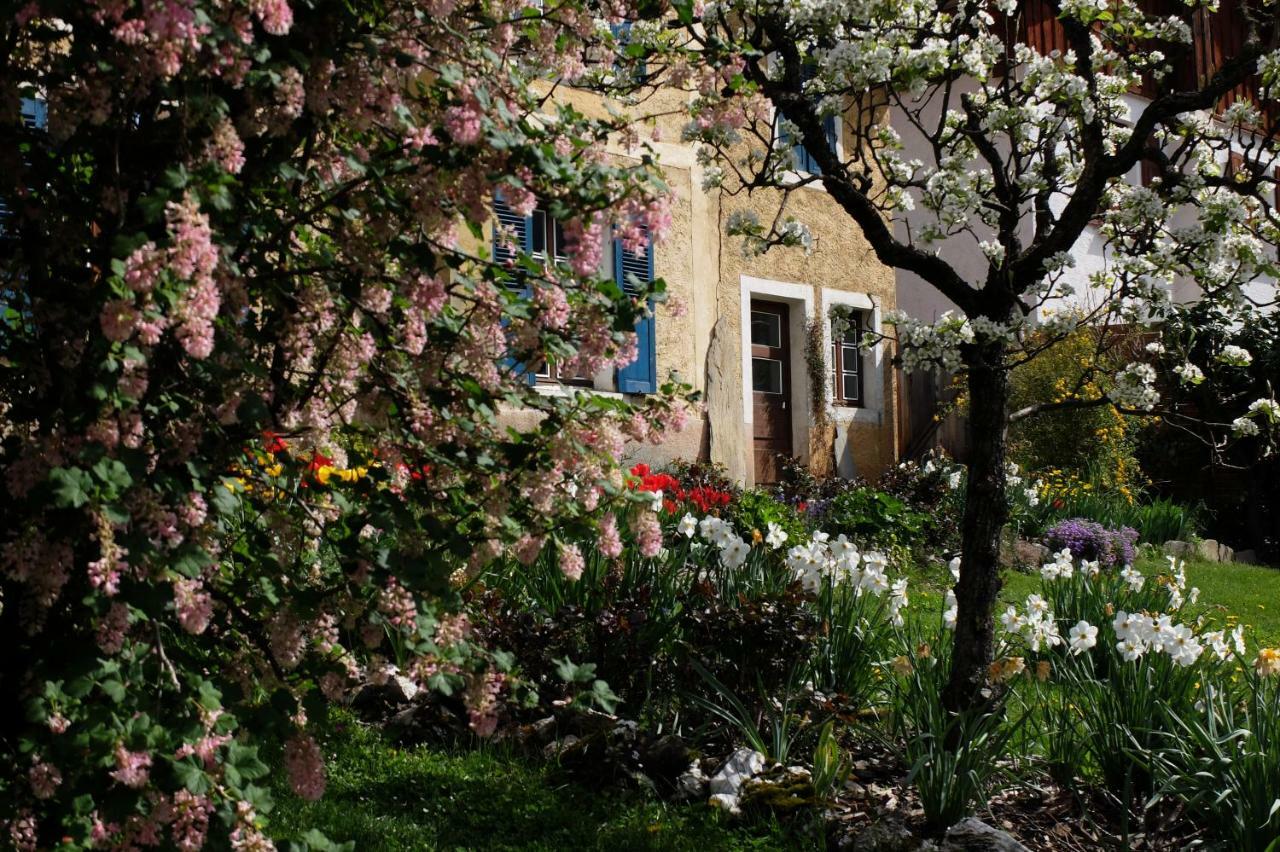 La Foyere Bed & Breakfast La Plagne Exterior photo